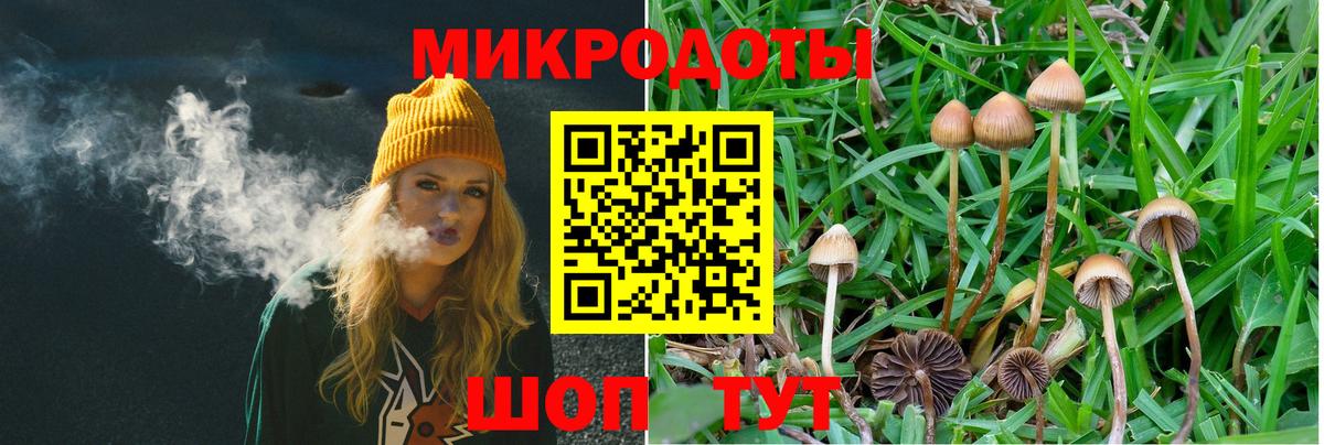 Гурьевск  Псилоцибиновые грибы GOLDEN TEACHER  купить наркотик  Галлюциногенные грибы мухоморы  Вход с VPN 